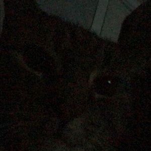 Meet your Posher, Bryan